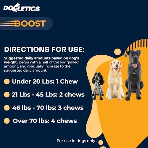 Boost Active Dog Support: Improve Energy, Endurance, Recovery & Longevity- 90ct USA Made with Real Bacon