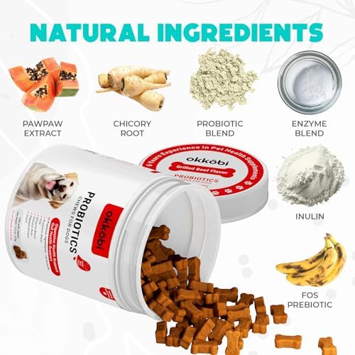 Probiotics for Dogs Chews 150 pcs - Probiotic Chews for Dogs with Enzymes & Natural Ingredients - Digestive & Gut Health Support - US Formula - Beef Flavored