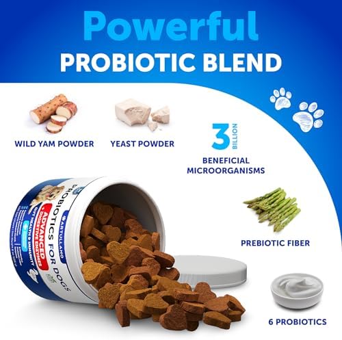 Probiotics for Dogs - 240 Chews - Dog Yeast Probiotic - Dog Probiotics