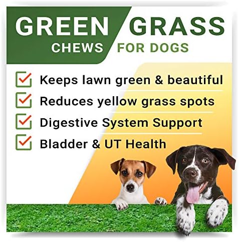 StrellaLab Grass Restore Treats for Dogs - Dog Pee Lawn Repair Chew Probiotics + Digestive Enzymes, Cranberry - Dog Urine Neutralizer for Grass Burn Spots - Health & Wellness Supplements for Dog