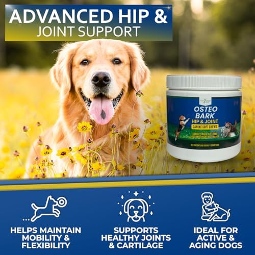 Osteo Bark Hip & Joint Canine Soft Chews, 60 Count, Bone and Joint Support for All Dog Breeds - Glucosamine & Chondroitin Chews with MSM - Pain, Inflammation, Arthritis