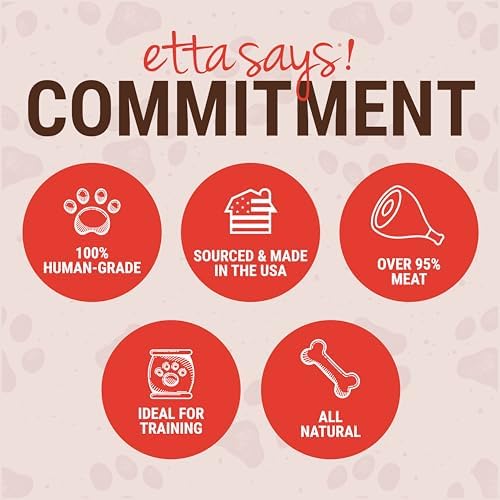 Etta Says! Yumm Sticks Beef Jerky Dog Treats - 12ct