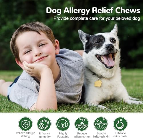 Dog Allergy Chews, Dog Itch Relief Chews for Paw Licking Itchy Skin, Probiotics with Omega-3 Turmeric Astragalus for Large Dogs Coat Immune Supplement-150ct
