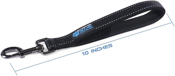 Max and Neo Short Traffic Leash 10" - We Donate One for One a Dog Rescue for Every Leash Sold (Teal)
