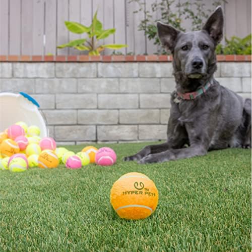 Hyper Pet Tennis Balls for Dogs (Safe Ball for Exercise and Training) Interactive Dog Toys work with Hyper Pet K9 Kannon K2 Dog Ball Launcher - 4 Pack 2.5" Orange | Interactive playthings that work with the K9 Kannon K2 launcher, made for training sess...