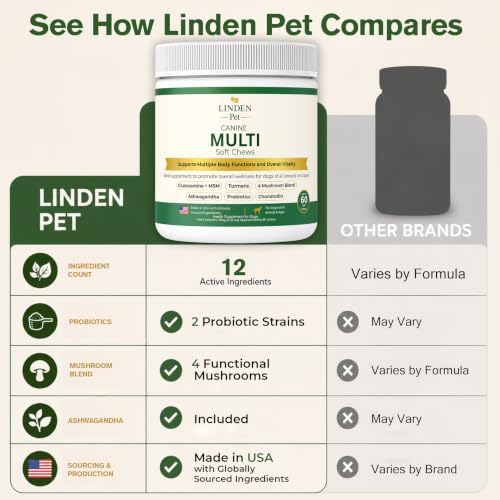 Dog Multivitamin Soft Chews, Probiotics, All Breeds, 60 Ct | Dog Vitamins, Daily Wellness, Salmon Oil & Omega-3, Skin & Coat, Gut Health, L-Carnitine, Turmeric, Senior Dogs, Joint Health