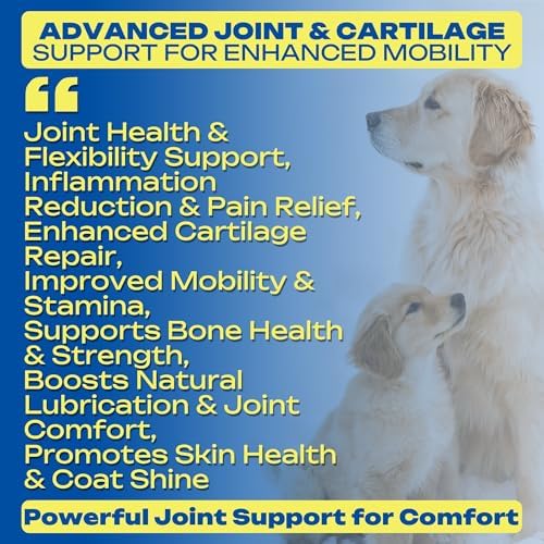 Green Lipped Mussel Joint Supplement for Dogs & Cats - 120 Soft Chews - Natural Support for Hip, Joint & Muscle Health