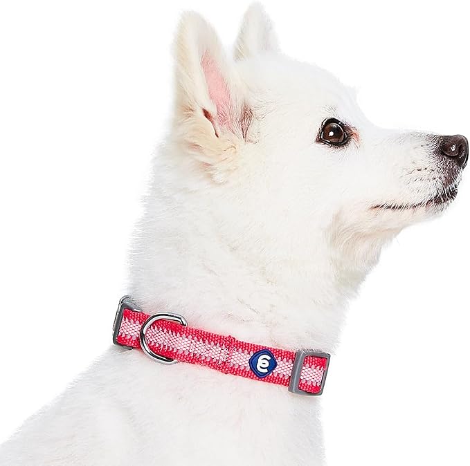 Blueberry Pet Essentials Pack of 2 Reflective Better Basics Adjustable Dog Collars, French Pink, Medium, Neck 14.5"-20"