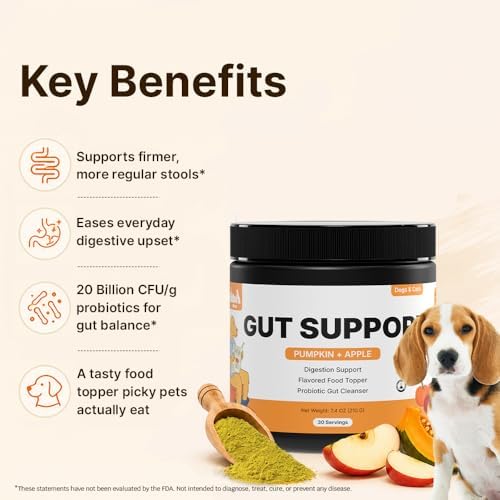 Pumpkin Gut Support for Dogs – Digestive Health Supplement with Natural Fiber & Probiotics, 30 Servings | Kubi Pets (30)