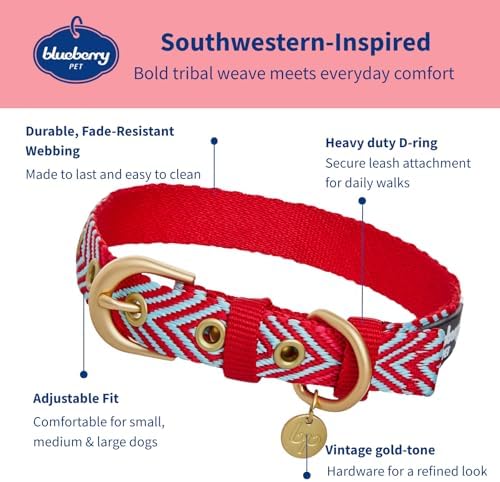 Blueberry Pet Southwestern Tribal Lozenges Stylish Red Adjustable Dog Collar with Metal Buckle, Neck 13-16.5", for Medium Breed