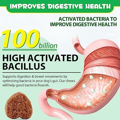 Probiotics for Dogs, 120 Chews Dog Probiotics Treats, Digestive Treats Dogs and Digestive Enzymes, Dog Digestive Health Gut, Immune Bowel Support, Reduce Diarrhea, Gas, Itchy Relief