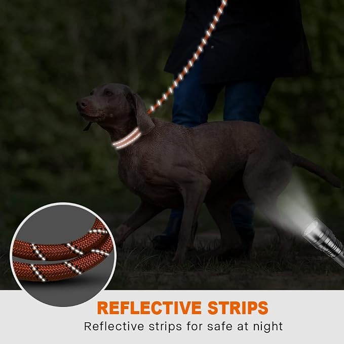 Taglory Rope Dog Leash for Medium Large Dogs, 4 FT Padded Handle, Orange | Climbing Rope for Strong Pullers, Reflective for Night Walks and Training, Comfortable Grip, Anti-tangle Swivel Clip 1/2 inch