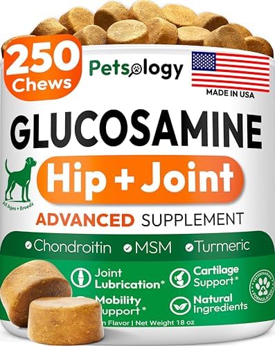 Glucosamine for Dogs - 250 Chews with Chondroitin, Hip and Joint Supplement