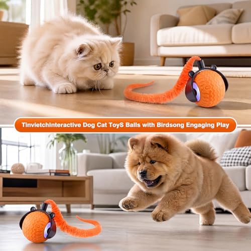 ZUAMEGUCat Toys for Indoor Cats - Interactive Rolling Ball | 3 Modes Motion Activated, Self-Play Cat Toy with Tail, Eco-Friendly Cat Exercise Ball for Active Indoor Fun