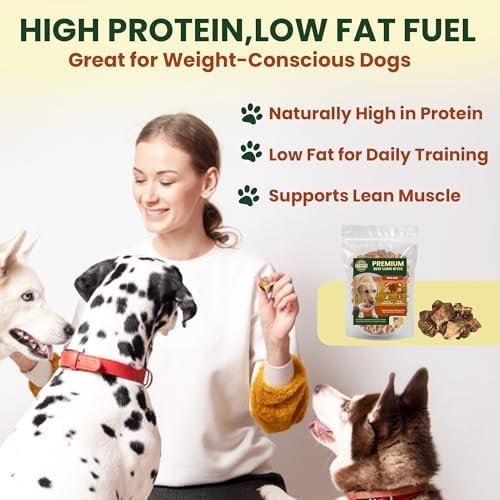 2.5 Lb Beef Lung Training Treats for Dogs – Single Ingredient Crunchy Bites, High Protein Cubes, Low Fat Natural Dog Treats, Perfect Reward Snacks for All Dogs