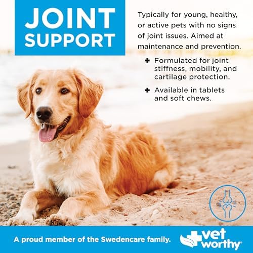 Vet Worthy Joint Support Soft Chews - Bone and Joint Supplement - 60ct