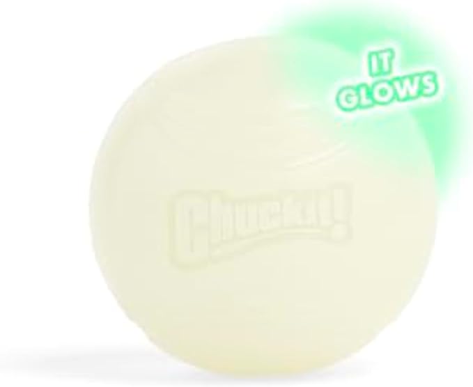 Chuckit! Max Glowin the Dark Bouncy Ball for Dogs, Large 3in, 1 Pack