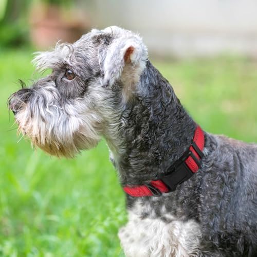 Joytale Reflective Dog Collar, Adjustable Neoprene Padded, Red S