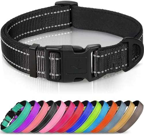 Joytale Reflective Dog Collar, Adjustable Neoprene Padded, Black M