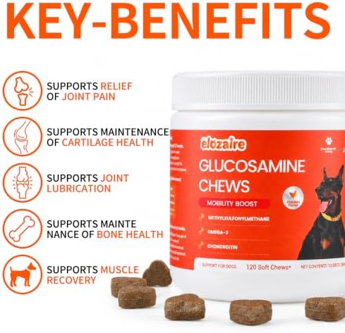 Senior Dog Joint Supplement Chews, Glucosamine MSM Chondroitin, 120ct