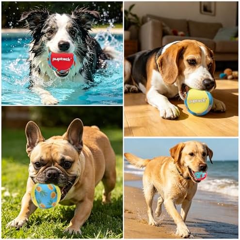 PUPTECK Floating Dog Pool Toys, Bouncing Balls, 2-Pack, Pineapple & Watermelon
