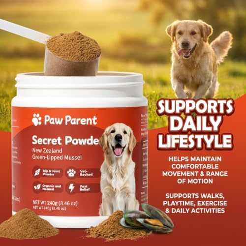 Paw Parent Green Lipped Mussel Secret Powder for Dogs Macho S Care (1pcs)