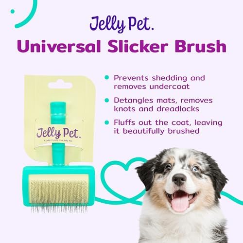 Jelly Pet Universal Slicker Brush for Dogs, Small