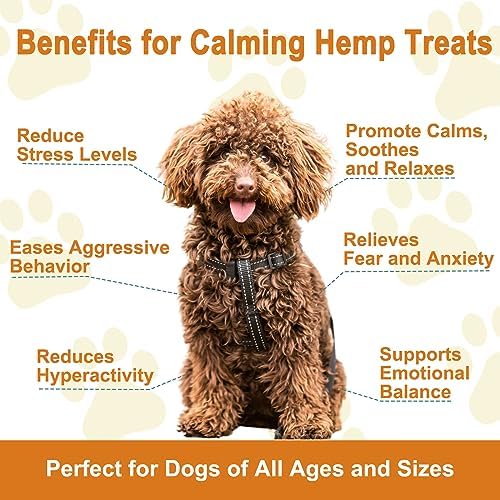 Dogs Hemp Calming Chews, Beef