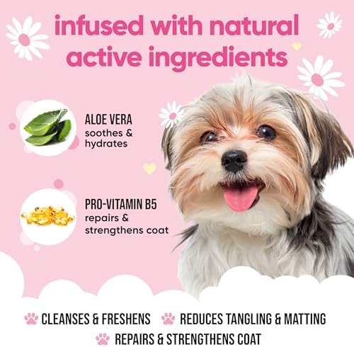 Baby Fresh Dog Shampoo by Buddycare | Deep Cleansing Shampoo for Dogs | Fresh Scented | with Aloe Vera and Pro Vitamin B5 (169.07oz)