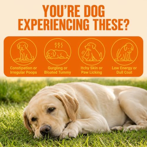 Probiotics for Dogs – Support Gut Health, Yeast Balance, Skin Comfort & Immunity – with Prebiotics & Digestive Enzymes – Chicken Flavor, 90 Soft Chews
