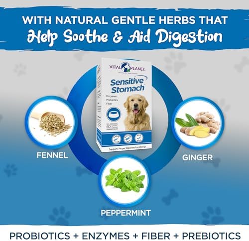 Vital Planet - Sensitive Stomach for Dogs with Enzymes, Probiotics and Fiber, Natural Digestive Support for Upset Stomach with Fennel, and Peppermint, 60 Chicken Flavored Chewable Tablets