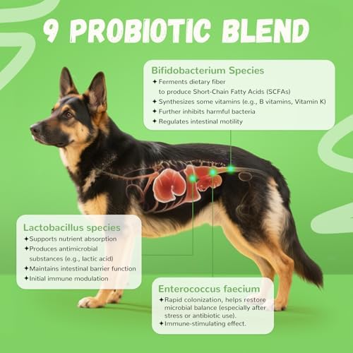 Furrolika 60 Ct. Probiotics Soft Chews, USA Made, Gut & Digestive Support