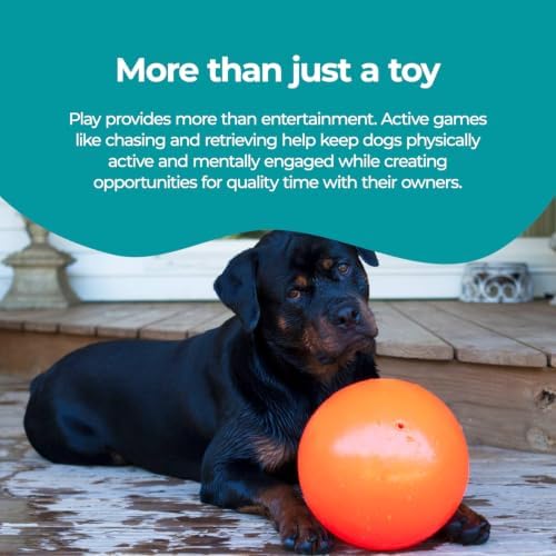 Jolly Pets Bounce-n-Play Dog Toy Ball, 8 Inches/Large, Orange, (Model: 2508 OR) | Durable large dog ball for dogs over 60 lbs, made from tough JollyFlex material that won't deflate when punctured and floats