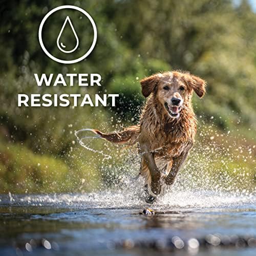 Hip + Joint Mobility Collar for Dogs with Glucosamine, Chondroitin, MSM, and More | Convenient & Easy | 30 Days of Continuous Support | Water Resistant (Small)