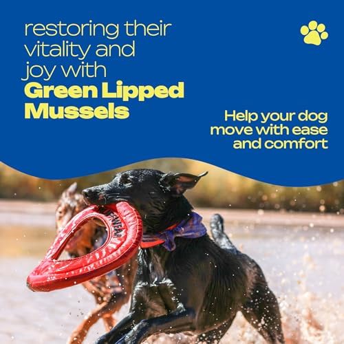 Green Lipped Mussel Joint Supplement for Dogs & Cats - 120 Soft Chews - Natural Support for Hip, Joint & Muscle Health