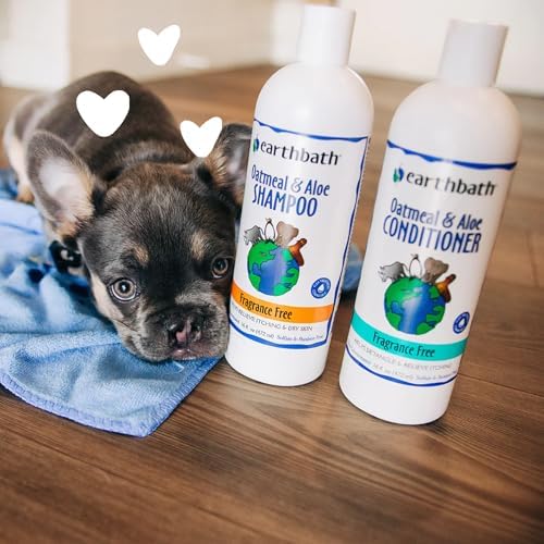 earthbath Oatmeal & Aloe Conditioner, Dry Skin, Made in USA, 16 Oz (1 Pack) | Dog Conditioner for Allergies & Itching, Helps Relieve Itching, Cruelty Free Pet Conditioners, Fragrance Free Dog Wash