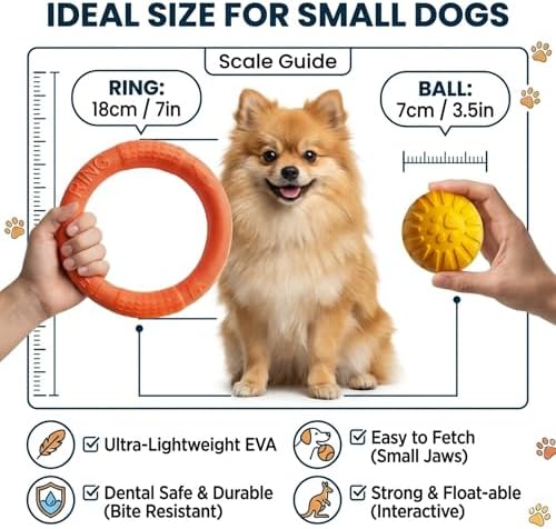 Small Dog Ball with Strap, Floating EVA, Orange