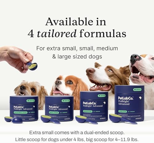 PetLab Co. ProBright Advanced Dental Powder, Large Dogs, 30 Scoops