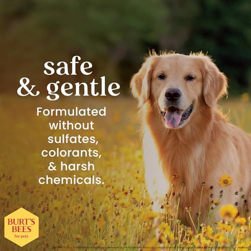 Burts Bees for Pets Itch Soothing Dog Shampoo, Honeysuckle, 16 Fl Oz, 6-Pk | Honeysuckle and aloe, pH-balanced formula, 95%+ natural origin, no sulfates or fragrances