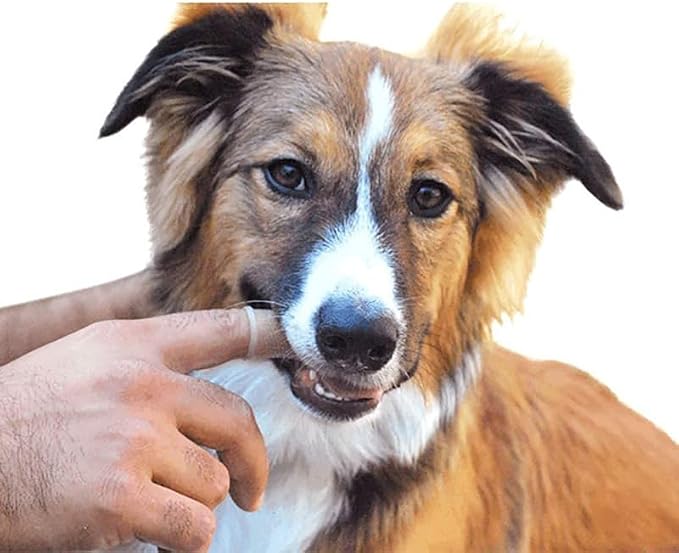 Dog Toothbrush Silicone Cat Finger Tooth Brushing Kit Pet Tooth Brush for Small to Large Dogs Cats Teeth Cleaning & Dental Care Soft Puppy Toothbrush for Small Dog with Storage Case