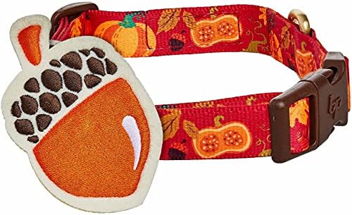 Blueberry Pet Thanksgiving Collar Bundle Set - Small Turkey Collar + Small Pumpkin and Acorn Collar