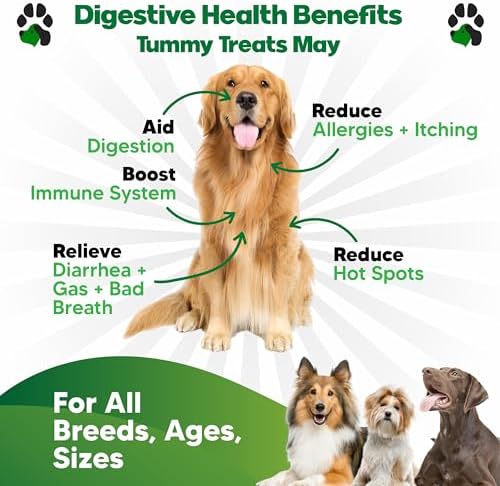 Probiotics for Dogs, 90 Soft Chews - Digestive Health Dog Probiotic 90ct
