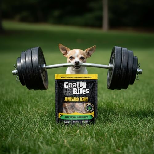 Chicken Jerky Dog Treats, Soft and Chewy Healthy Snack