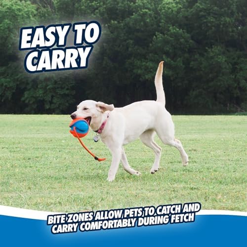 Chuckit! Rope Fetch Dog Toy, Ball on Rope, Durable EVA Rubber, 5.5-in | 18-In Rope Toy Doubles as a Fetch and Tug-of-War Toy for Dogs, Built in a Durable Orange and Blue Design for Play