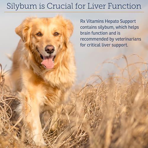 Rx Vitamins Liquid Hepato Support for Dogs & Cats - 4oz