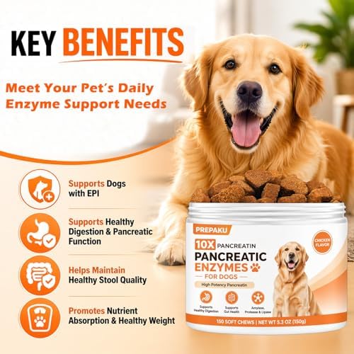 Pancreatic Enzymes for Dogs - 10X Pancreatin Digestive Enzyme Chews
