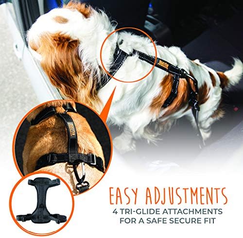 Mighty Paw Dog Car Harness, No-Pull Front Leash Attachment, L