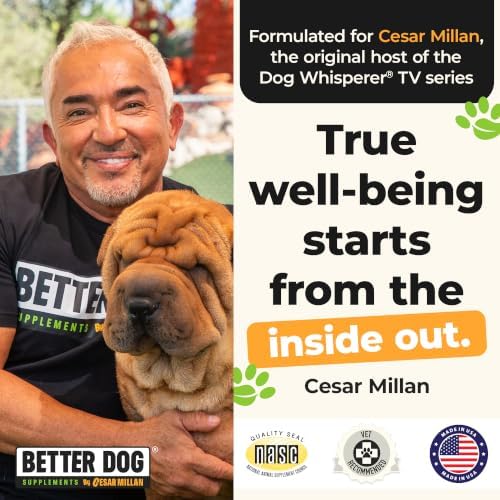 Better Dog Happy-Go-Lucky Belly Digestive Support Powder for Dogs, 4 oz