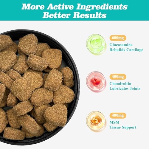 Dog Hip & Joint Supplement – Glucosamine for Dogs Chews with Chondroitin & MSM, Advanced Joint Support for Large & Senior Dogs, Supports Mobility & Everyday Comfort – 180 Count