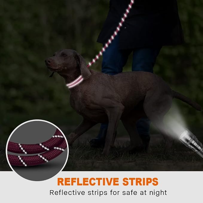 Taglory Rope Dog Leash for Medium Large Dogs, 6 FT Padded Handle, Hotpink | Climbing Rope for Strong Pullers, Reflective for Night Walks and Training, Comfortable Grip, Anti-tangle Swivel Clip 1/2 inch
